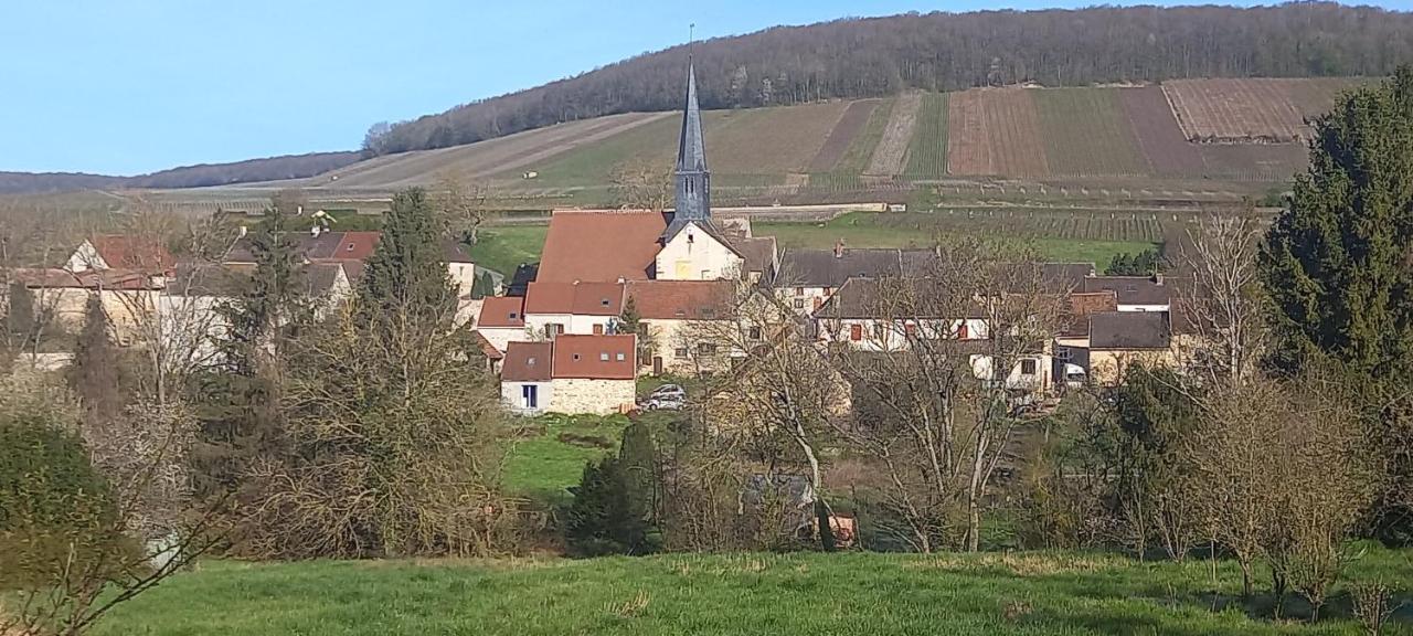 Gite Du Bel Air Festigny  ภายนอก รูปภาพ
