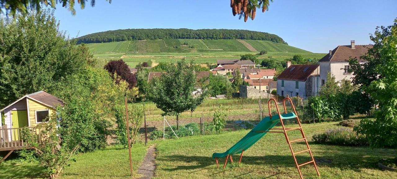Gite Du Bel Air Festigny  ภายนอก รูปภาพ